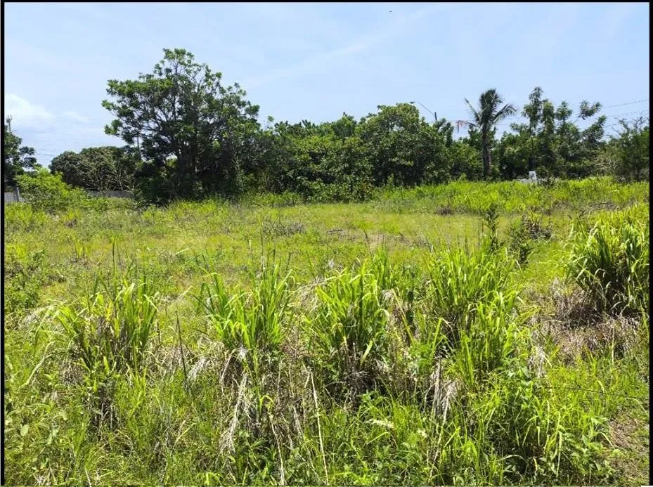 LOTE EN PUNTA CHAME A 250 M DE LA PLAYA, PANAMÁ OESTE | 1,359 M² |