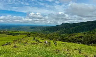 FOR SALE 41 ACRES OF A SPECTACULAR FARM IN BOQUETE