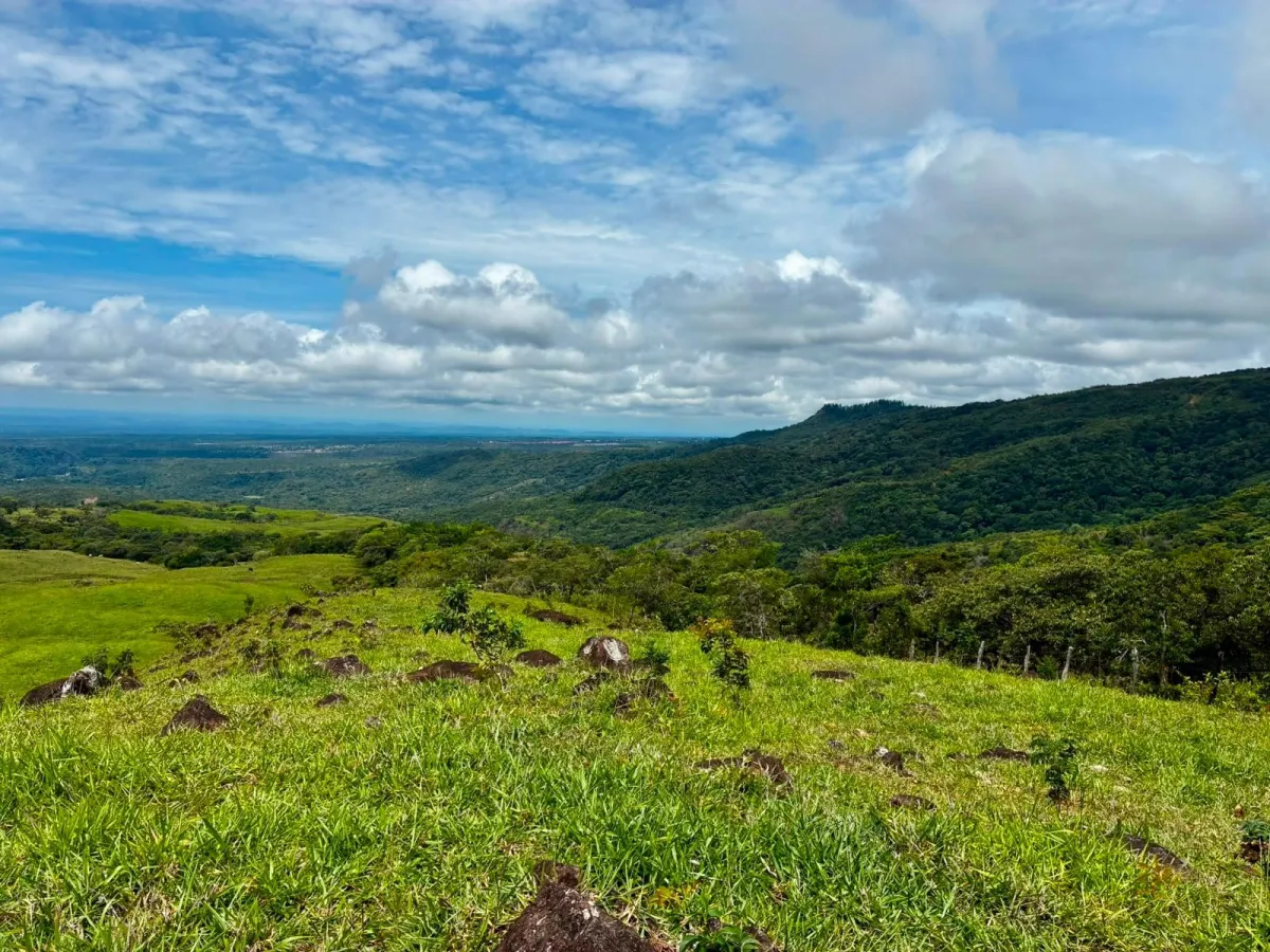 FOR SALE 41 ACRES OF A SPECTACULAR FARM IN BOQUETE