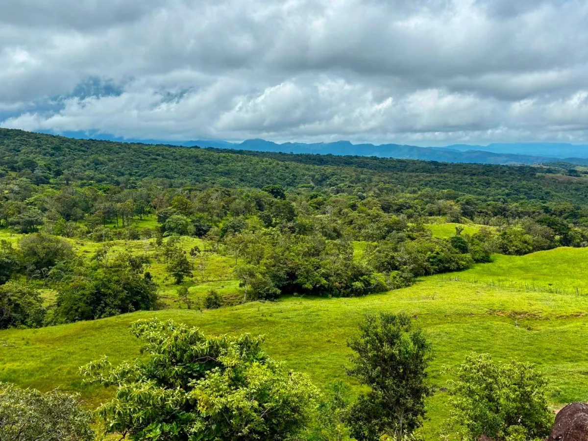 FOR SALE 41 ACRES OF A SPECTACULAR FARM IN BOQUETE