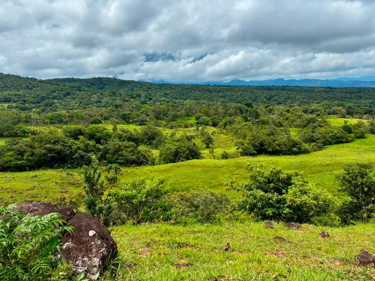 FOR SALE 41 ACRES OF A SPECTACULAR FARM IN BOQUETE