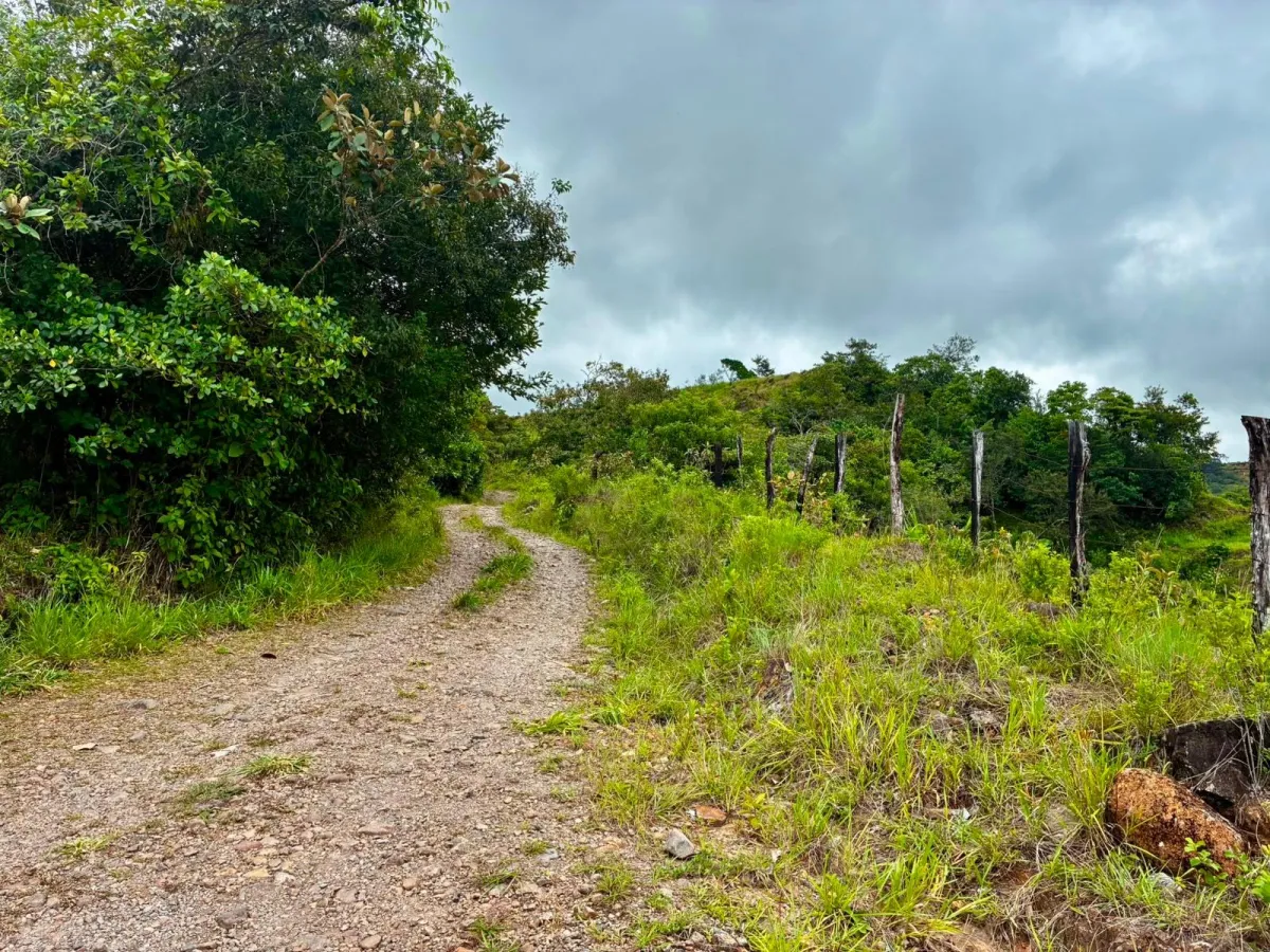 FOR SALE 41 ACRES OF A SPECTACULAR FARM IN BOQUETE