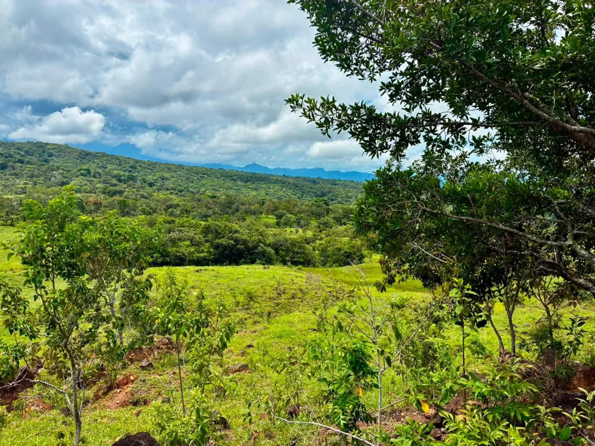 FOR SALE 41 ACRES OF A SPECTACULAR FARM IN BOQUETE