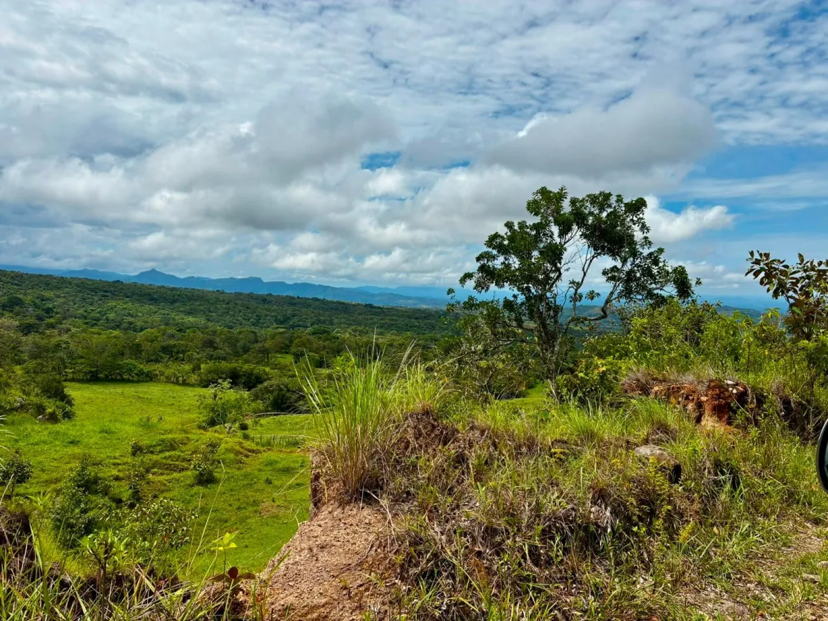 FOR SALE 41 ACRES OF A SPECTACULAR FARM IN BOQUETE