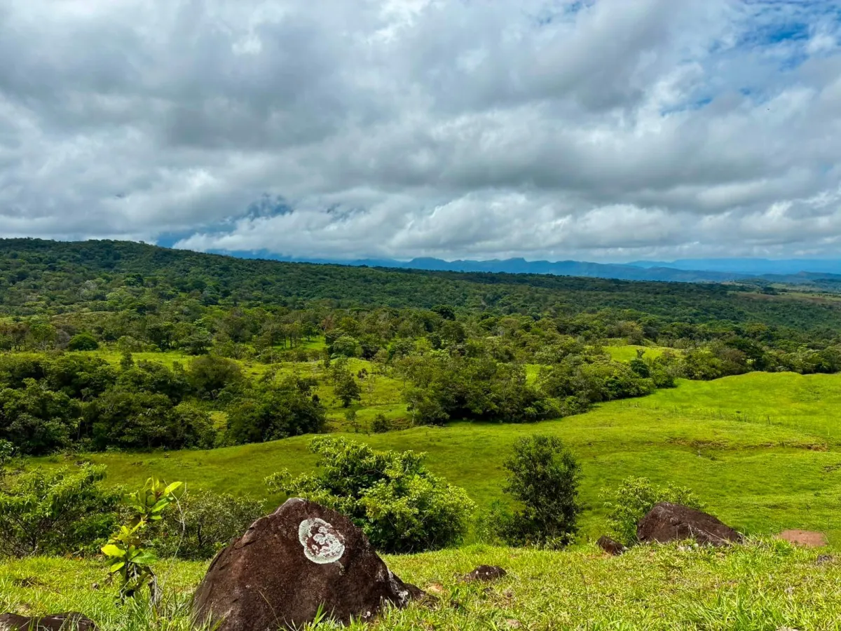 FOR SALE 41 ACRES OF A SPECTACULAR FARM IN BOQUETE