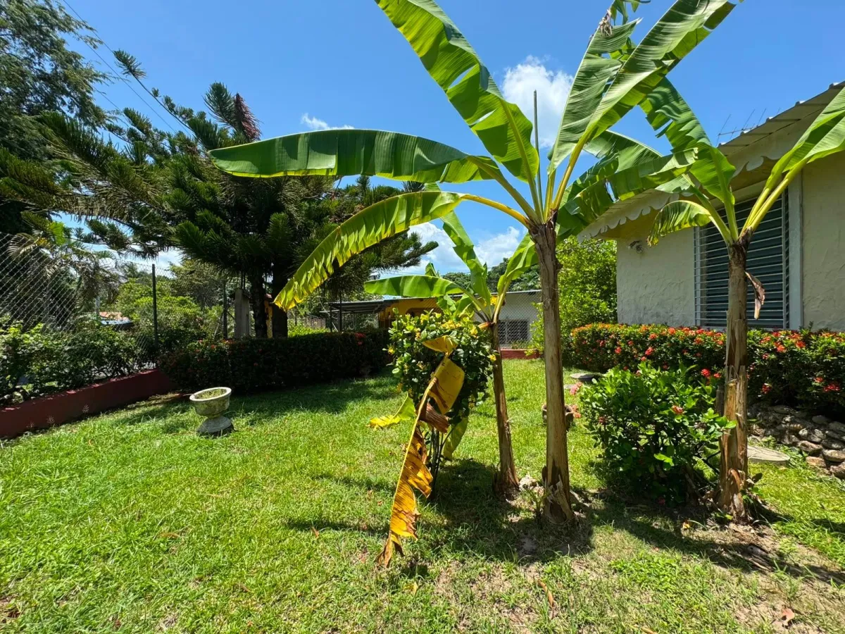 HOUSE FOR SALE IN SAN CARLOS