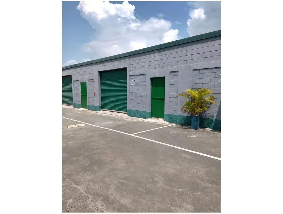 Industrial Warehouse for Rent in Bella Vista – 160 m²