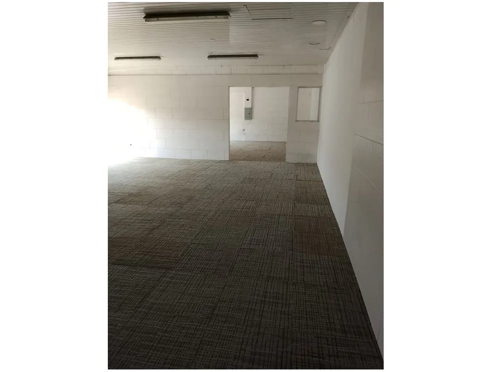Industrial Warehouse for Rent in Bella Vista – 160 m²