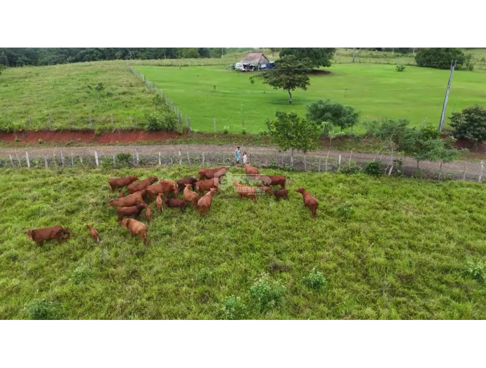 LAND FOR SALE IN LAGO GATUN 6944 M2 WITH GREEN AREAS AND COOL CLIMATE