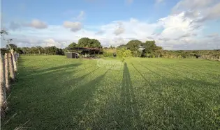 LA ARENOSA / LAGO GATUN / 6944 M2 / ESTATE / GREEN AREAS / FLAT LAND, Chorrera