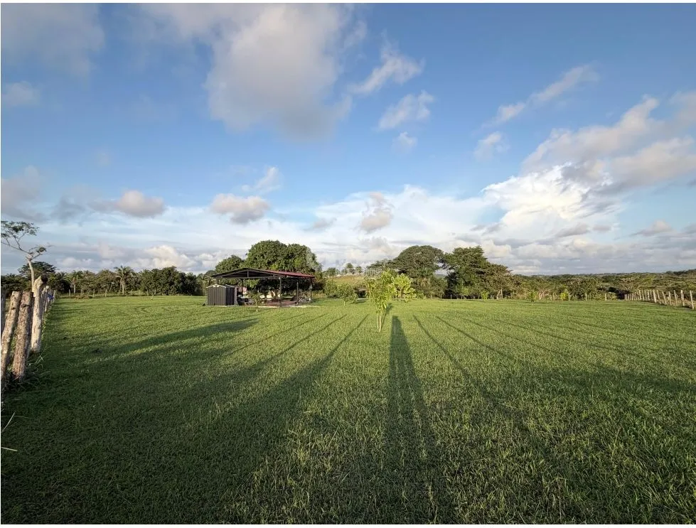 LA ARENOSA / LAGO GATUN / 6944 M2 / ESTATE / GREEN AREAS / FLAT LAND