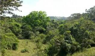 Terreno comercial en venta, Transístmica - Chilibre (Panamá)
