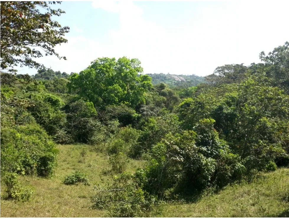 Terreno comercial en venta, Transístmica - Chilibre (Panamá)