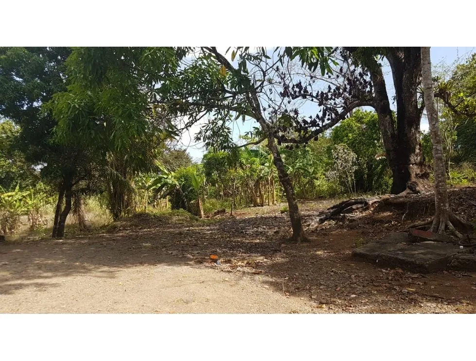 Terreno comercial en venta, Transístmica - Chilibre (Panamá)