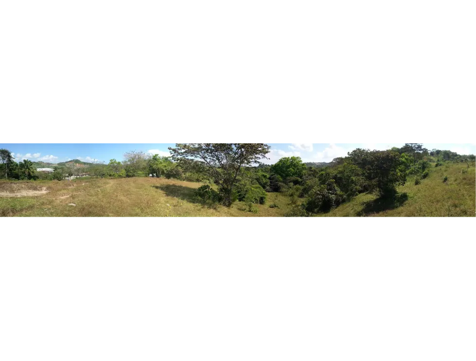 Terreno comercial en venta, Transístmica - Chilibre (Panamá)