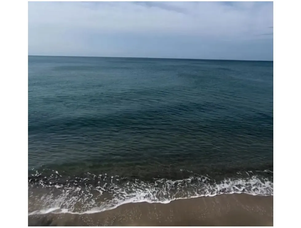 Sale of 5,000 m² Beach Land with Operating Business in Farallón, Cod-J220