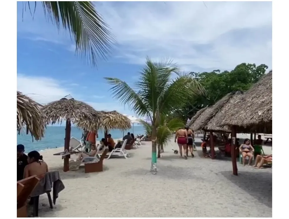 Sale of 5,000 m² Beach Land with Operating Business in Farallón, Cod-J220