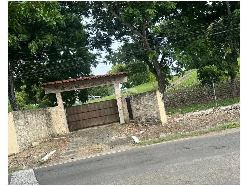 PANAMÁ ESTE  / PACORA / 53,000M / AMPLIO TERRENO / SEMIPLANO