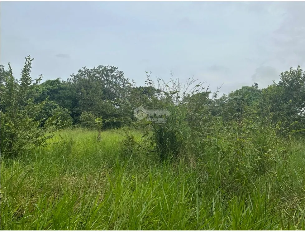 PANAMÁ ESTE  / PACORA / 53,000M / AMPLIO TERRENO / SEMIPLANO