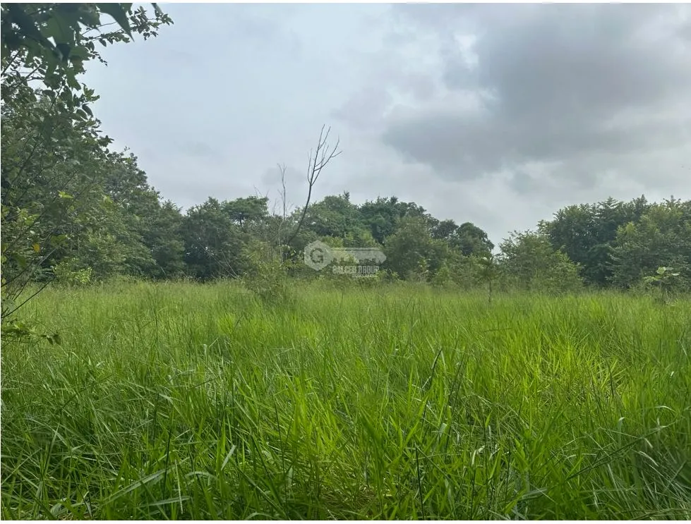 PANAMÁ ESTE  / PACORA / 53,000M / AMPLIO TERRENO / SEMIPLANO