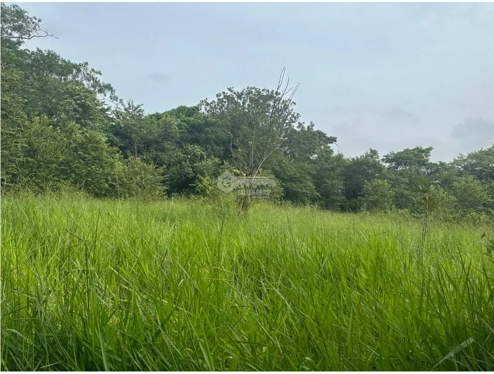PANAMÁ ESTE  / PACORA / 53,000M / AMPLIO TERRENO / SEMIPLANO