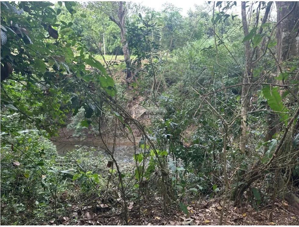 PANAMÁ ESTE  / PACORA / 53,000M / AMPLIO TERRENO / SEMIPLANO