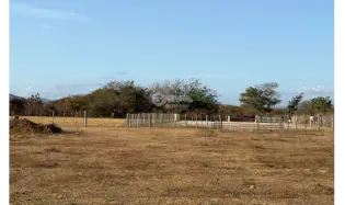 FLAT LAND FOR SALE IN PENONOMÉ 3,538M ON MAIN ROAD WITH ASPHALT ACCESS
