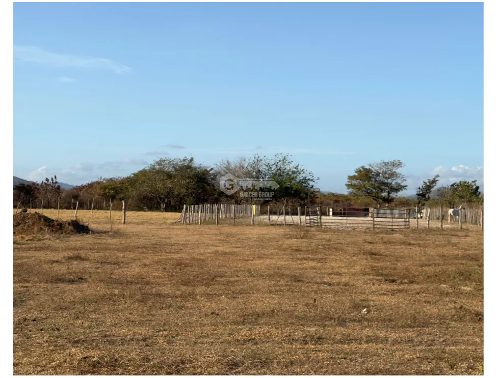 FLAT LAND FOR SALE IN PENONOMÉ 3,538M ON MAIN ROAD WITH ASPHALT ACCESS