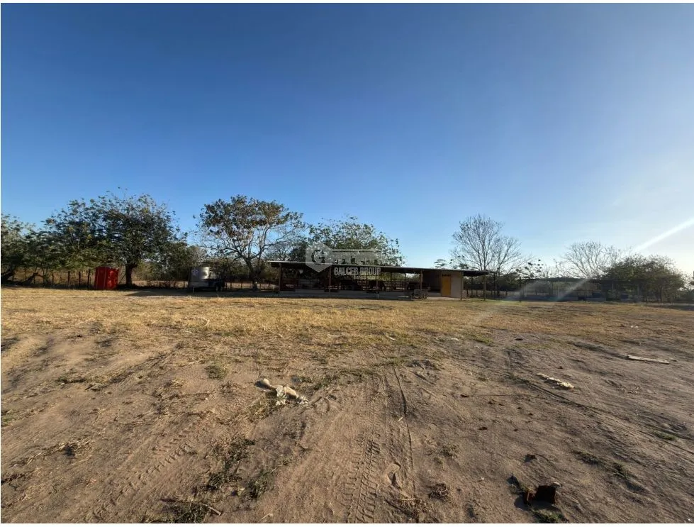 FLAT LAND / PENONOMÉ / 3,538M / MAIN ROAD / PAVED HIGHWAY