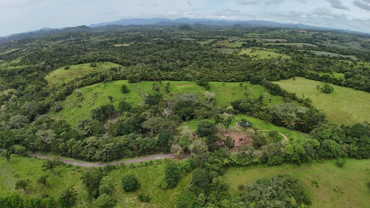 Land for Sale Ideal for Residential Development