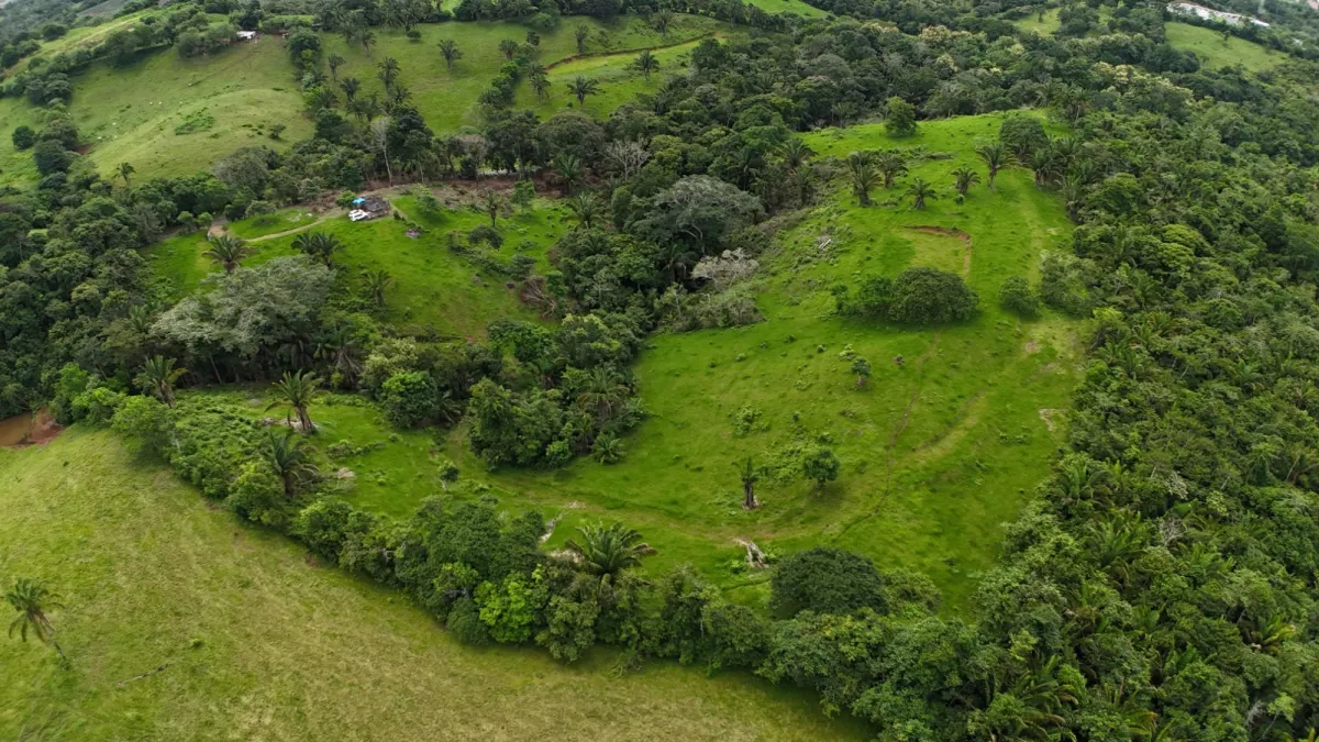 Land for Sale Ideal for Residential Development
