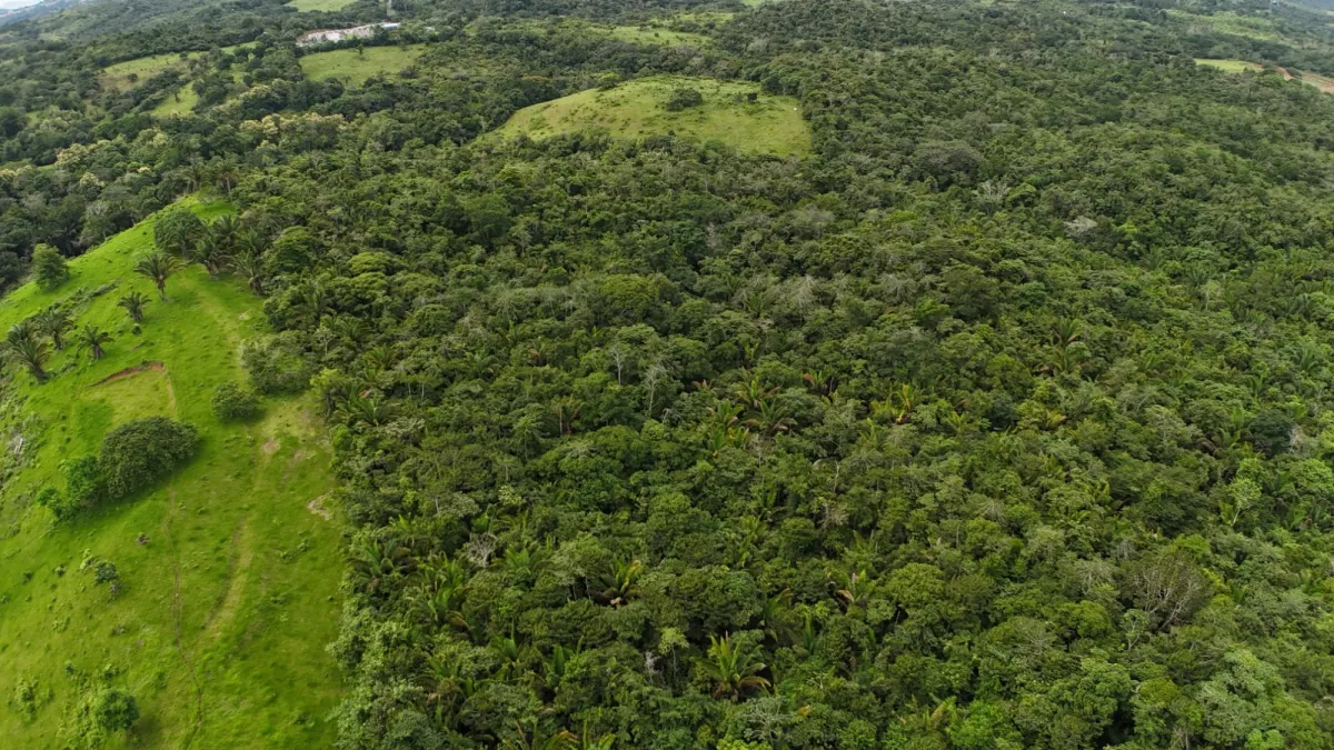 Land for Sale Ideal for Residential Development