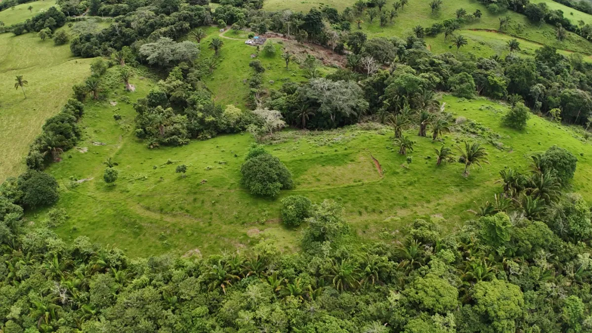 Land for Sale Ideal for Residential Development