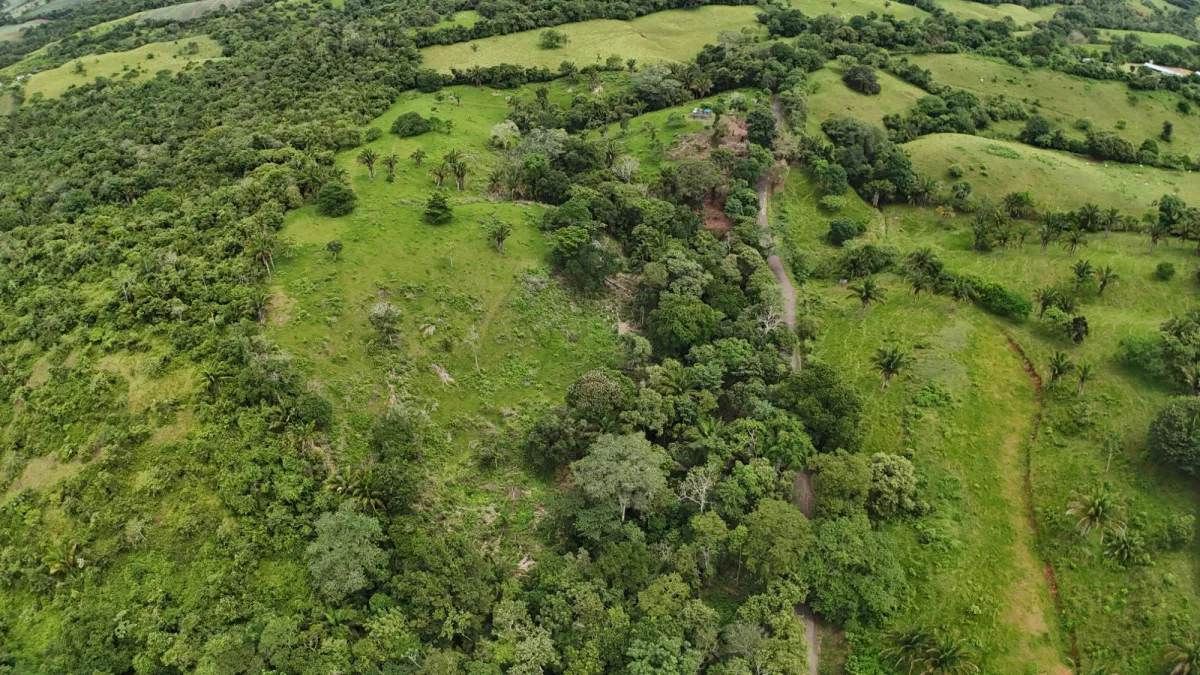 Land for Sale Ideal for Residential Development