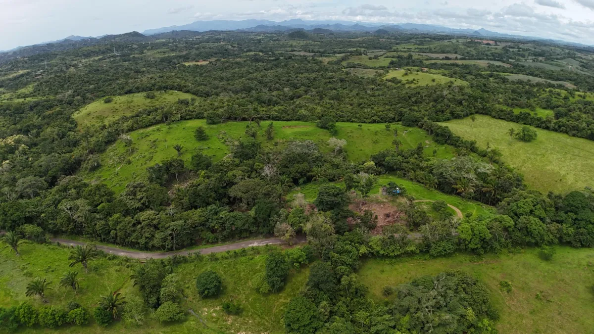 Land for Sale Ideal for Residential Development