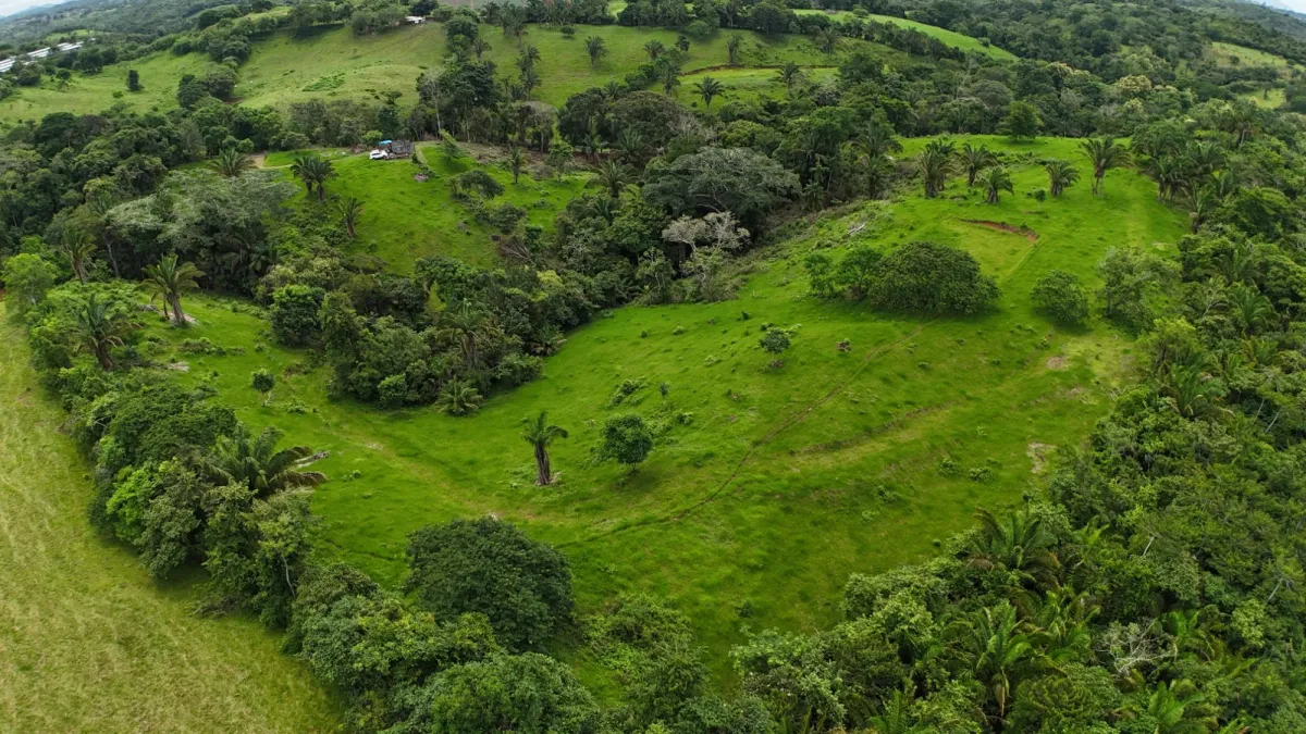 Land for Sale Ideal for Residential Development
