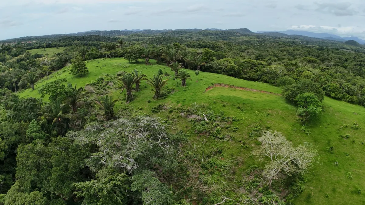Land for Sale Ideal for Residential Development