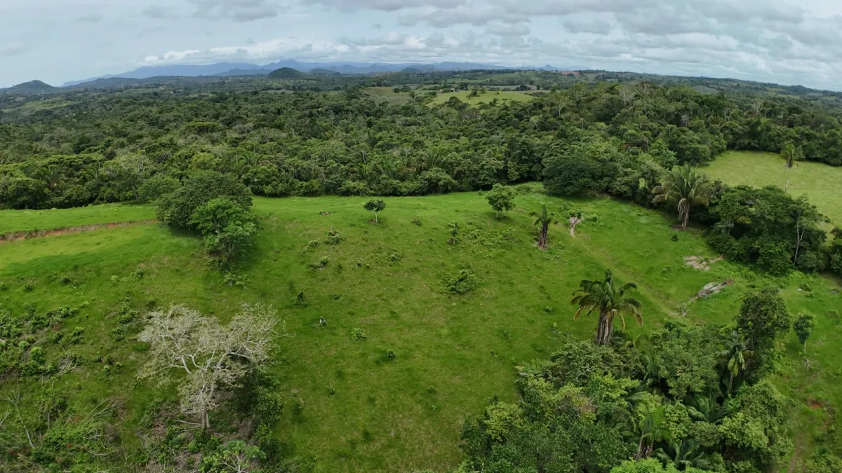 Land for Sale Ideal for Residential Development