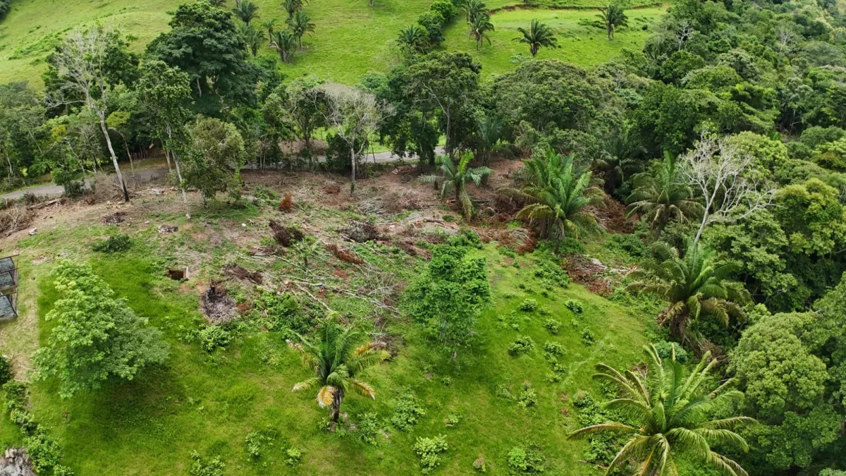 Land for Sale Ideal for Residential Development