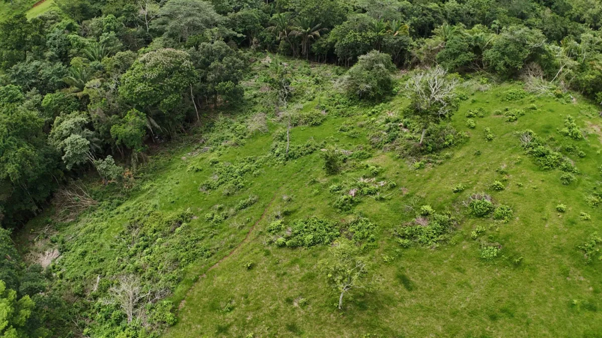 Land for Sale Ideal for Residential Development