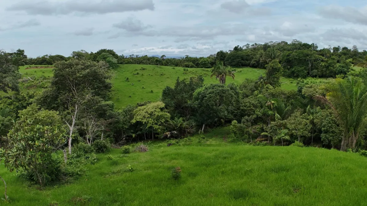 Land for Sale Ideal for Residential Development