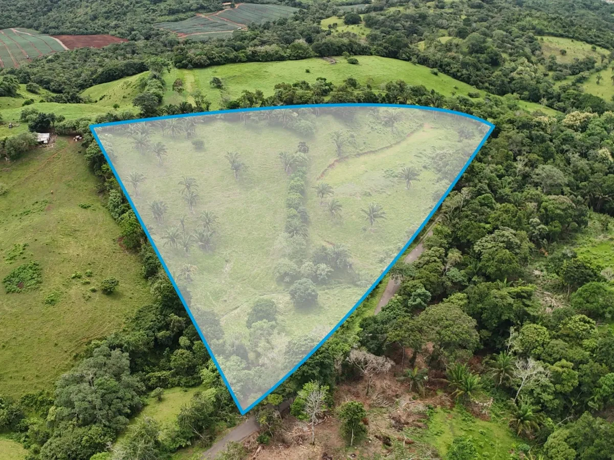 Land for Sale in El Trapichito, La Chorrera