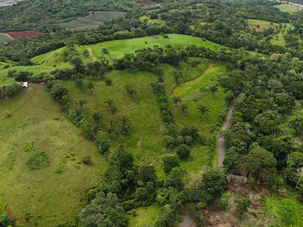 Land for Sale in El Trapichito, La Chorrera