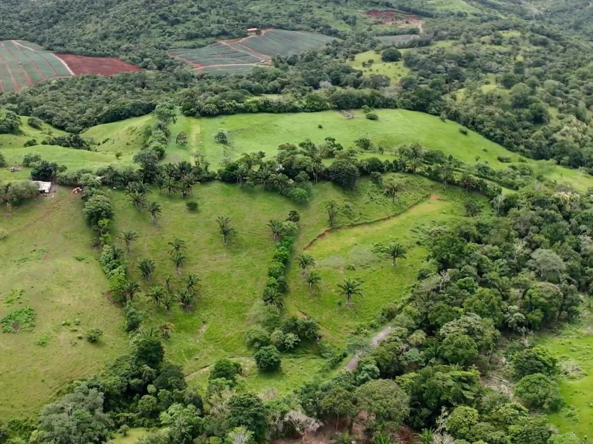 Land for Sale in El Trapichito, La Chorrera