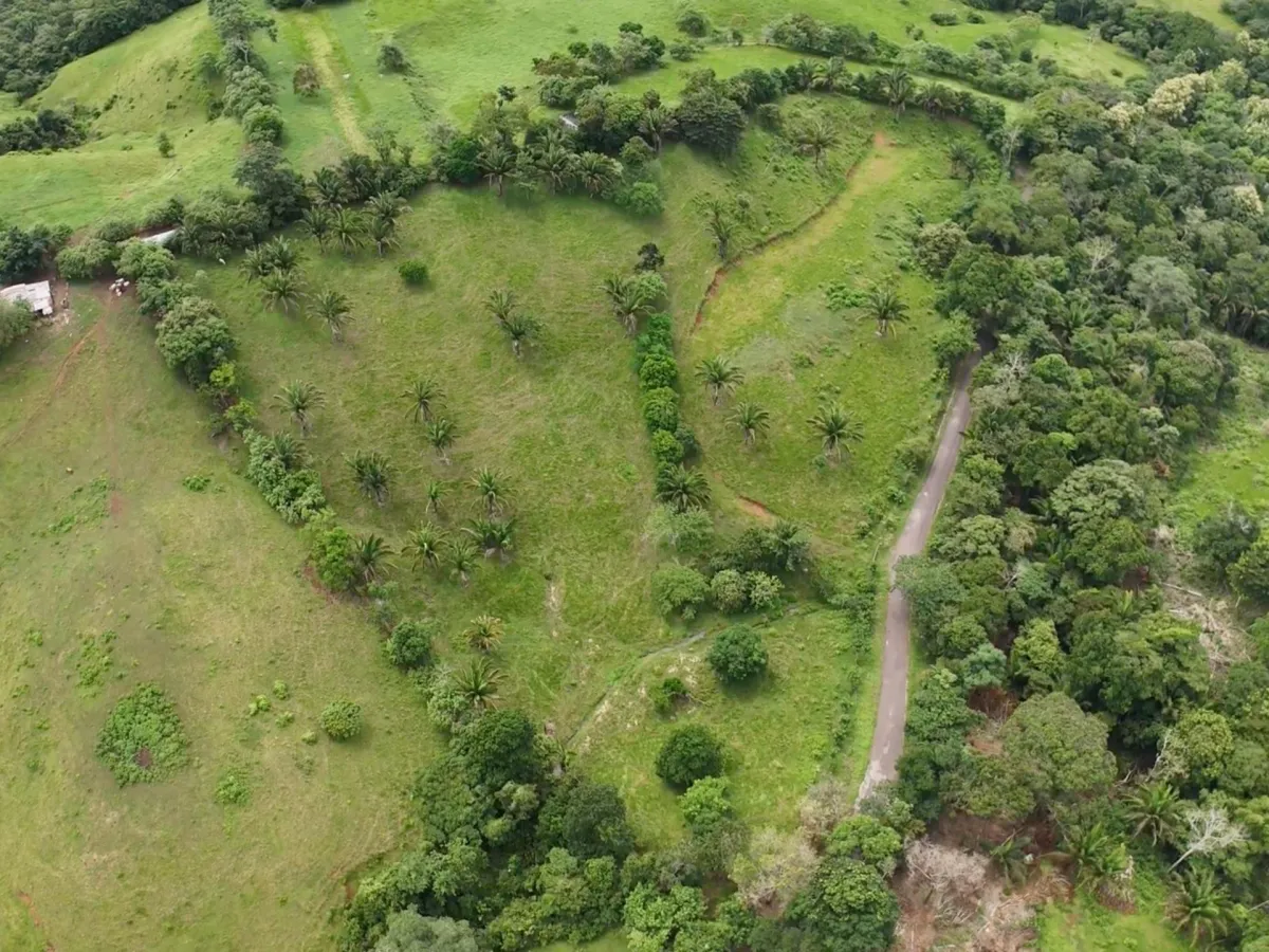 Land for Sale in El Trapichito, La Chorrera