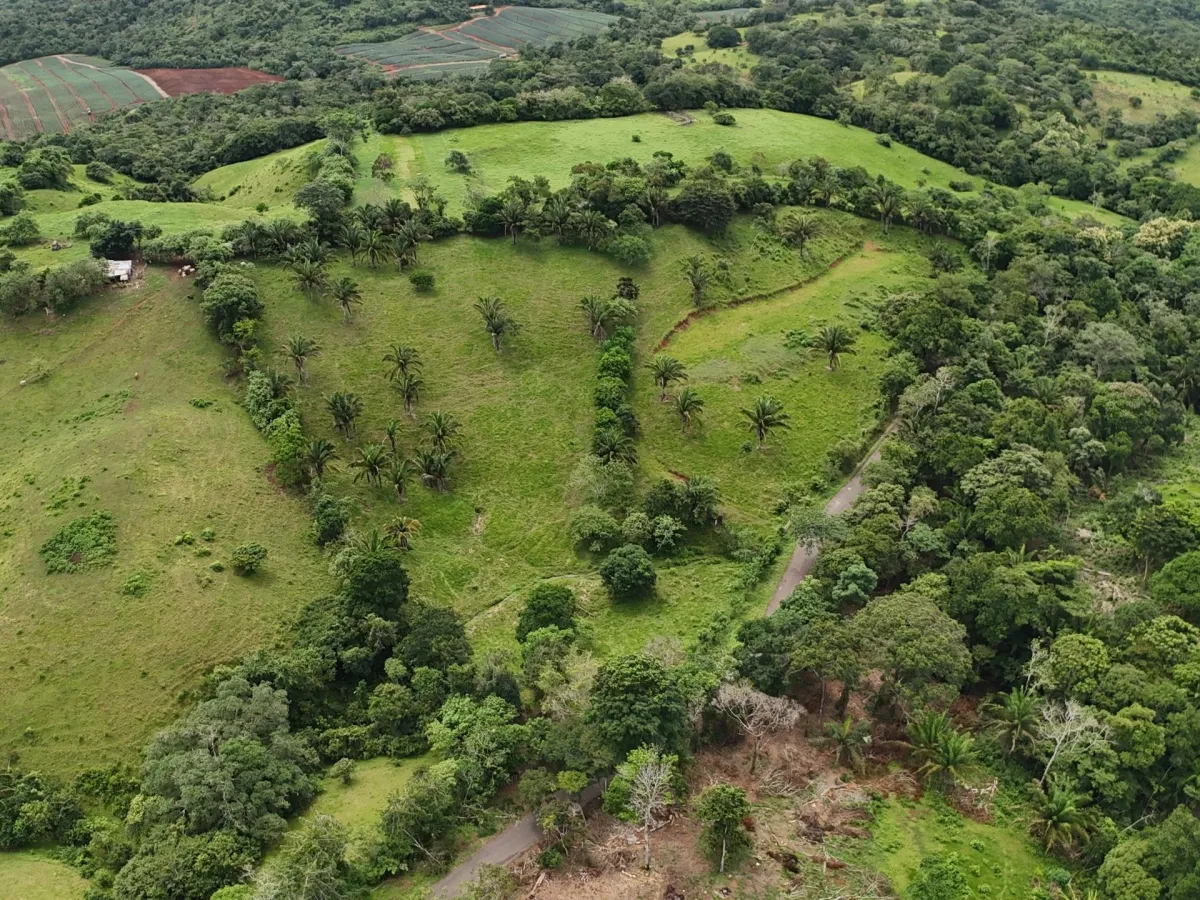Land for Sale in El Trapichito, La Chorrera