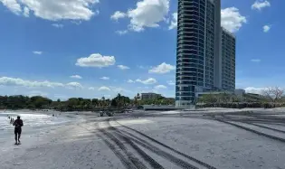 ROYAL PALM FRENTE A PLAYA MALIBÚ