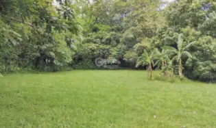 LAND FOR SALE IN CHAME BEJUCO 1572 M2 FLAT WITH GREEN AREAS