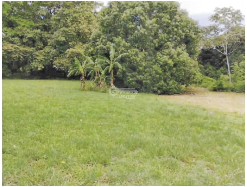 LAND FOR SALE IN CHAME BEJUCO 1572 M2 FLAT WITH GREEN AREAS