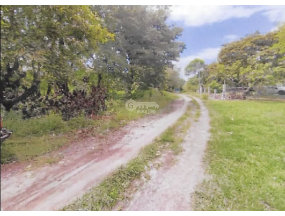 LAND FOR SALE IN CHAME BEJUCO 1572 M2 FLAT WITH GREEN AREAS